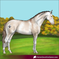 Horse Color:Brown Pearl Dun Sabino 