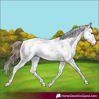Horse Color:Liver Red Dun Sabino Brindle