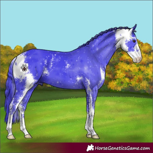 Horse Color:Watercolor Liver Chestnut Sabino 