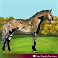 Horse Color:Plaid  White Spotted Silver Brown Onyx Sabino 