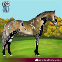 Horse Color:Plaid White Spotted Silver Brown Onyx Sabino