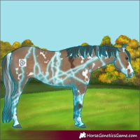 Horse Color:Thunderstruck White Spotted Liver Red Dun