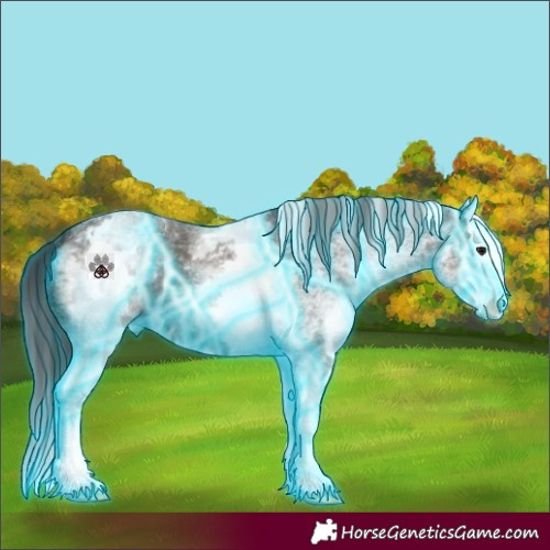 Horse Color:Thunderstruck White Spotted Smoky Grullo Splash 