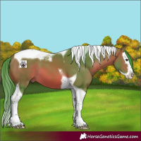 Horse Color:Watercolor Bay Splash Tobiano