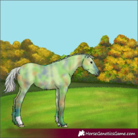 Horse Color:Gray Nacre Watercolor Silver Grullo 