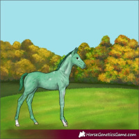 Horse Color:Watercolor Black 