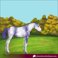 Horse Color:Watercolor White Spotted Black