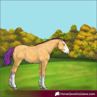 Horse Color:Painted White Spotted Amber Cream Champagne Ice 