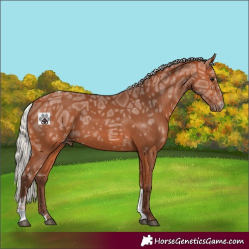 Horse Color:Silver Bay Ice Tobiano 