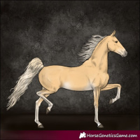 Horse Color:Palomino 