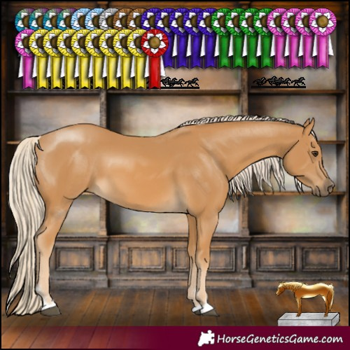 Horse Color:Palomino 