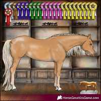 Horse Color:Palomino