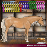 Horse Color:Palomino 