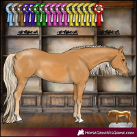 Horse Color:Palomino 
