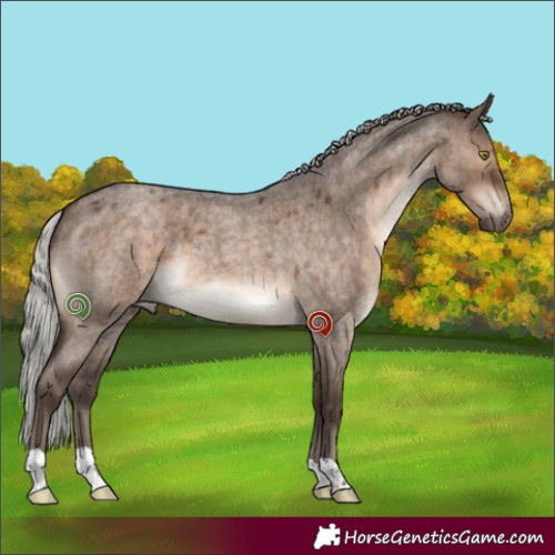Horse Color:Silver Brown Roan Dun Brindle 