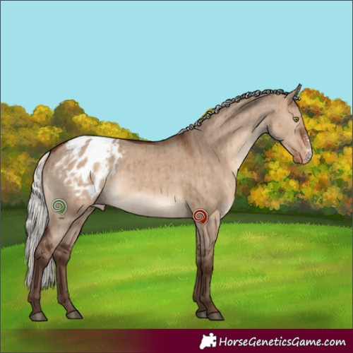 Horse Color:Silver Brown Dun Sabino Appaloosa Brindle 