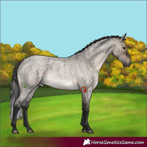 Horse Color:Brown Roan Dun Brindle