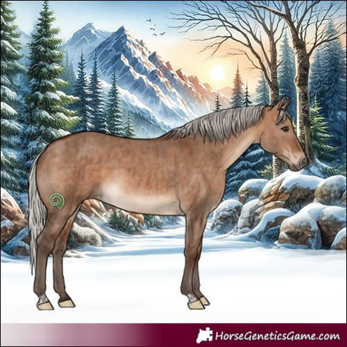 Horse Color:Silver Bay Dun Brindle 