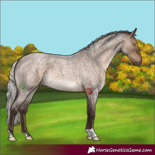 Horse Color:Silver Brown Roan Dun Brindle 