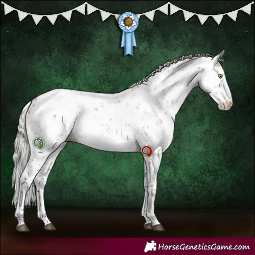 Horse Color:Silver Brown Dun Sabino Appaloosa 
