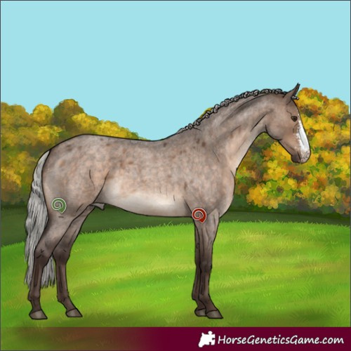 Horse Color:Silver Brown Roan Dun Sabino 