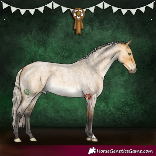 Horse Color:Silver Buckskin Roan Dun 