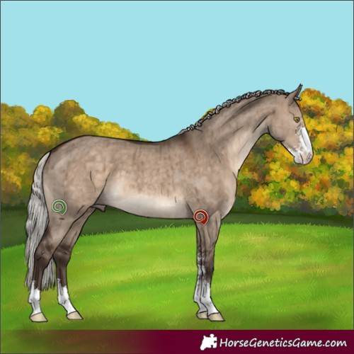 Horse Color:Silver Brown Dun Sabino Brindle 