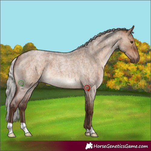 Horse Color:Silver Bay Roan Dun Brindle