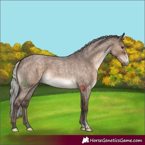 Horse Color:Silver Brown Roan Dun Sabino Brindle