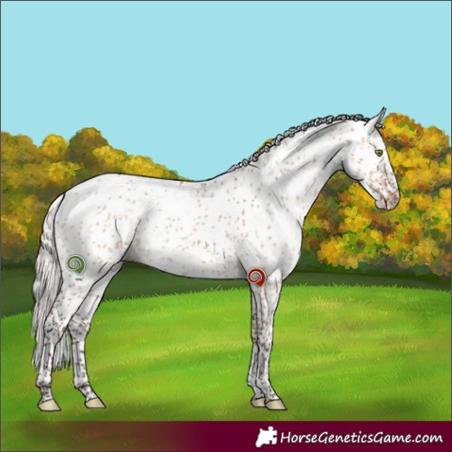 Horse Color:Silver Brown Dun Sabino 