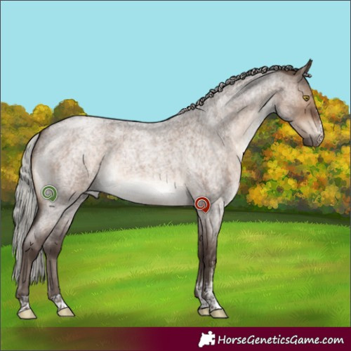 Horse Color:Silver Brown Roan Dun Sabino