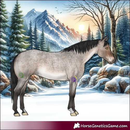 Horse Color:Brown Roan Dun Brindle 