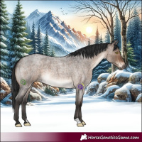 Horse Color:Brown Roan Dun Brindle