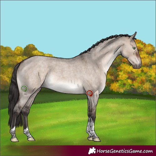 Horse Color:Brown Roan Dun Mushroom Tobiano 