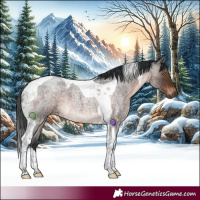 Horse Color:Brown Roan Tobiano