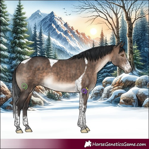 Horse Color:Brown Dun Mushroom Sabino Tobiano Brindle
