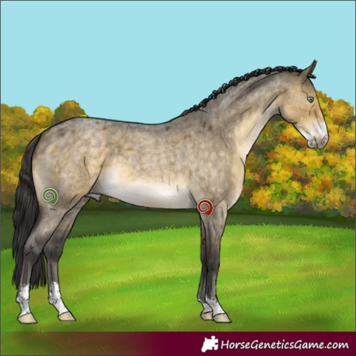 Horse Color:Buckskin Roan Dun Mushroom Sabino 