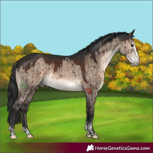Horse Color:Brown Dun Sabino Brindle