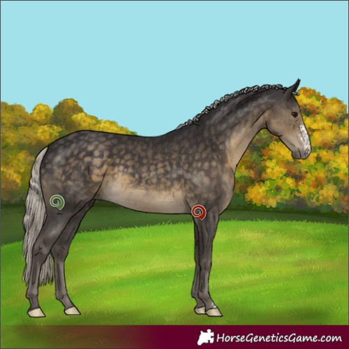 Horse Color:Silver Smoky Black Sabino 