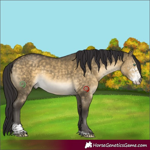 Horse Color:Buckskin Dun Mushroom Sabino 