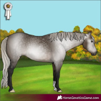 Horse Color:Gray Silver Brown Dun