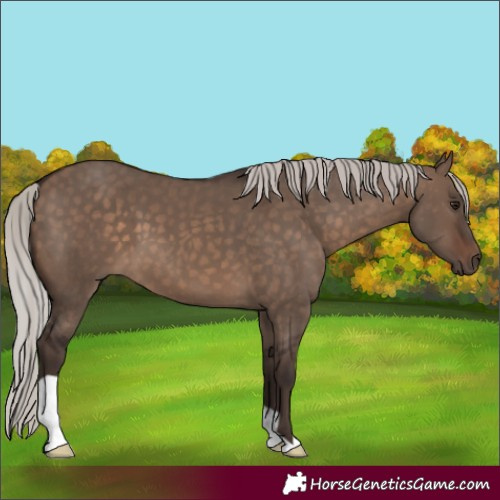 Horse Color:Silver Brown Dun