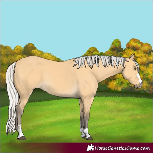 Horse Color:Silver Buckskin 
