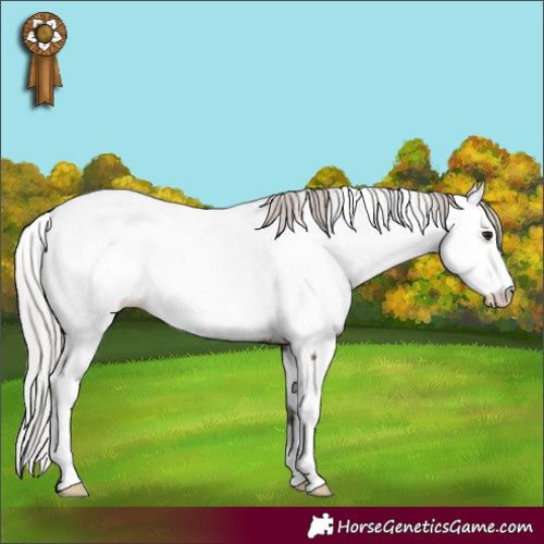 Horse Color:Silver Brown Dun Fewspot