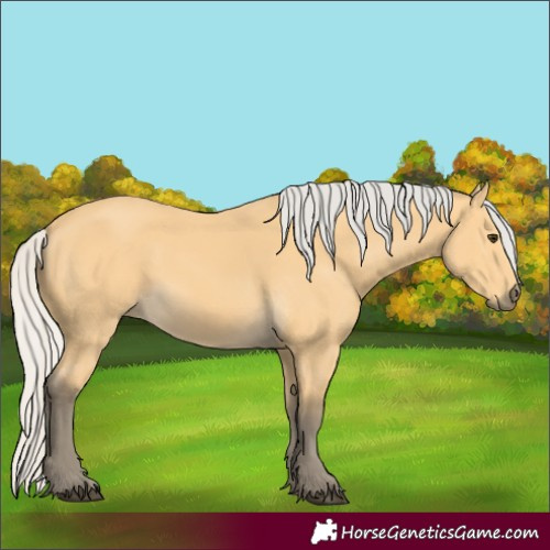 Horse Color:Silver Buckskin 