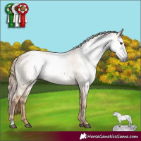 Horse Color:Gray White Spotted Red Dun 