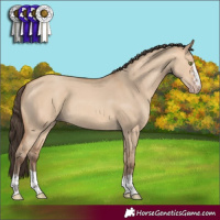 Horse Color:Amber Champagne Dun 