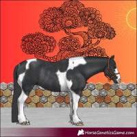 Horse Color:Black Tobiano Rabicano 