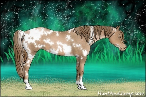 Horse Color:White Spotted Liver Chestnut Pearl 