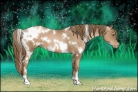 Horse Color:White Spotted Liver Chestnut Pearl 
